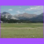 Tuolumme Meadows.jpg